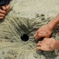 ''Upomoć, Zemlja me je progutala!'' Turista kopao rupu u pesku, sekund kasnije je usledio horor - snimak ledi krv u žilama…
