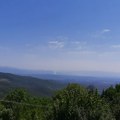 Plavi jezik se pojavio i u prokupačkom kraju