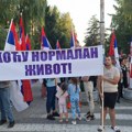 Ucene i pritisci zbog SNS skupova – svedočenja predata OEBS