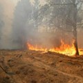 Igranje dronovima u zabranjenoj zoni uznemirilo svet