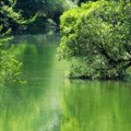 Priroda i fotografije: Od Vražjeg kamena do Ade Ciganlije - koja su nova zaštićena područja u Srbiji