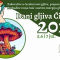 Dani gljiva u Ćićevcu: Jedinstvena prilika da odete u gljivolov i probate kulinarske specijalitete