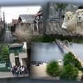 Ledene poslastice, hlad ili kupanje: Zoološki vrt "Palić" podelio neodoljive fotografije i pokazao kako se životinje…