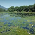 Jezero u Parmencu prekriveno fekalnim algama i smećem