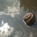 Sutra promenljivo i nestabilno, lokalno sa kišom, temperatura do 23 stepena