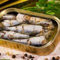 Jadranskom moru preti zamena vrsta: Sardinu može spasiti samo jedno