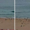 Surf kamera zabeležila početak masakra u Sidneju: Novi snimak sa plaže smrti u Australiji, ubijeno 12 ljudi (video)