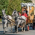 Zrenjanin ulazi u festivalsku groznicu: Fijakeri najavili početak najveće gradske manifestacije “Dani piva”