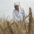 Telus: Razgovori Poljske sa Ukrajinom o uvozu žita na pravom putu