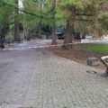 „Obesili Đuru“: Spomenik Đuri Jakšiću u Dunavskom parku u Novom Sadu poslužio da se obeleže radovi