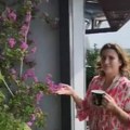 Pogled puca, a ovakav rajski vrt na terasi niko nema u Beogradu: Poznati glumački par pokazao deo penthausa koji su kupili u…