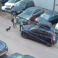 (Video) "Alo bre, ženo, jesi: Normalna?!" Žestok okršaj komšinica na Zvezdari: Automobilom se zaletala i udarala vozilo…