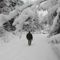Sneg zavejao ovu evropsku metropolu: Milione iznenadila vejavica u maju - temperatura opala za skoro 30 stepeni (mapa)