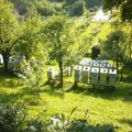 Počela isplata subvencija po košnici pčela, ukupan iznos od više od milijardu dinara