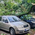RHMZ izdao upozorenje na vremenske nepogode, oluja obarala drveće u Zrenjaninu