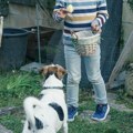 Da li psi smeju da jedu uskršnja jaja? Mnogi vlasnici greše, posebno oni koji imaju štene