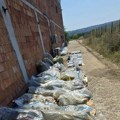 Специјалци са гас маскама улетели у кућу у Смедереву. Овако су открили чак пола тона марихуане у илегалној лабораторији…