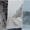 Polarna oluja paralisala Ameriku, zastrašujući prizori Životinje promrzle, kuće bez struje, otkazani letovi, temperatura…
