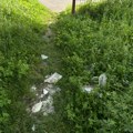 Akcija „Zavrni rukave“ nailazi na prepreke, organizatori odbijeni u Lazarevcu