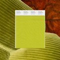 Apple Green: Boja koja osvežava prostor i trenutno je u trendu