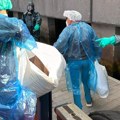 Pogledajte kako su iskrcani prvi putnici sa "broda smrti": Velike mere obezbeđenja zbog hantavirusa