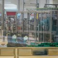Kućni ljubimci postaju zlatan biznis: Nestle ulaže čak 562 miliona evra u novu fabriku