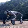 Kina planira da koristi robote-pse za izgradnju baze na Mesecu