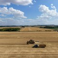 Suša smanjuje prinose, šta će biti sa cenama mleka i mesa