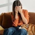Da li psi mogu da osete kada smo tužni ili bolesni? Nauka objašnjava zašto nas tada ne ispuštaju iz vida
