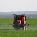 Коровић (РЗС): На конкурс за пописивање пољопривредних газдинстава пријавило се више од 10.500 кандидата