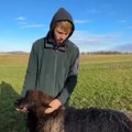 Devojka ga ostavila zbog ovce Dečak iz Bosne sa 16 postao gazda, sve je sam stekao