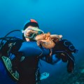 Hobotnica navodila čoveka do misterioznog predmeta na dnu okeana VIDEO