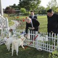 Ode Putin "teži" za dva psa, orden i umetnička dela FOTO/VIDEO
