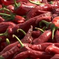 Začinska paprika iz Srbije kvalitetom se izborila za svetsko tržište