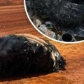 Запаљени објекат вероватно пао из свемира