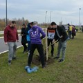 Шест година "Дрвећа пријатељства": Локална садња у четвртак у Сремским Карловцима