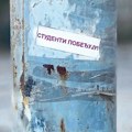 Deca kao politički aktivisti