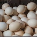 Američka kompanija povukla milione jaja: Sumnja se na salmonelu