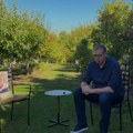 Vučić razgovara sa kamenom za kupus, a tu je slika Ilije Srdanovića (video)