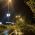 (Foto galerija) užasne posledice nevremena: Kragujevac neprohodan. Drveće na sve strane. Uništena vozila.