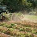Vrijednost poljoprivredne proizvodnje pala 7,4 posto