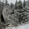 U ovom delu Srbije noćas je palo 5cm snega Veje i u gradu, ne samo po planinama