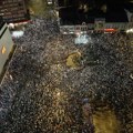 Policija će snimati protest u Nišu