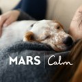 Ljubimci kao antistres partneri: Mars i Calm predstavili novo istraživanje