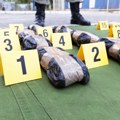 Police on their feet; Big arrest in Belgrade: Cocaine worth more than a million euros seized