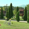 Hronika regiona: Vodimo vas u najlepša dvorišta Centralne Srbije