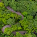 Нова правила за све фирме у Србији: Од 2026. свака компанија мораће да докаже колико је заиста одговорна