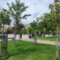 Da li još 1.700 stabala može da rashladi centar Leskovca ili zelenila nikad dovoljno?