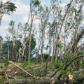 Priroda vs čovek: Isto mesto, dve šume, jedna zbrisana u oluji, druga preživela