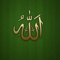 Ne postoji ništa draže Allahu od tajnog dobrog djela